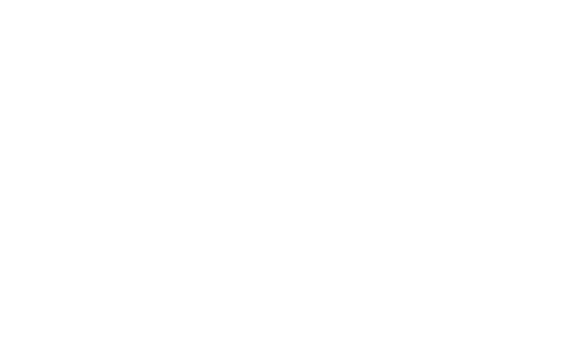 Big Bud Press