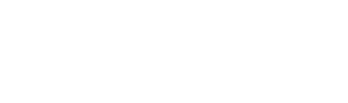 Packer Shoes