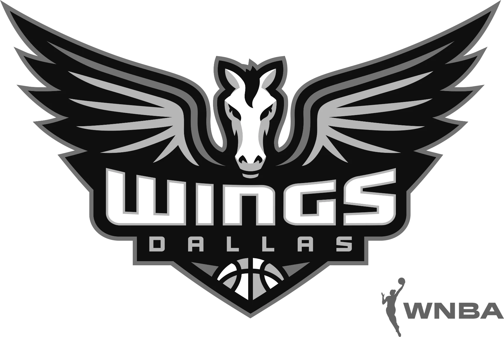 Dallas Wings Shop