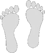 Urban Feet