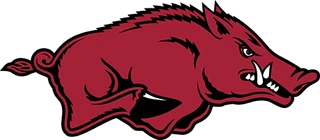 Arkansas Razorbacks logo