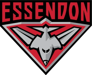 Essendon Bombers logo