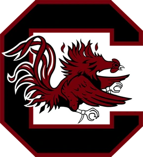 South Carolina Gamecocks logo